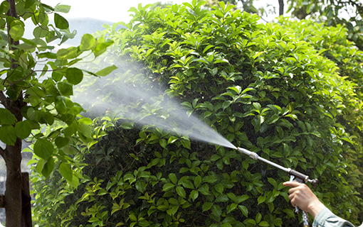 無風状態の天気が良い日に 実施しましょう!